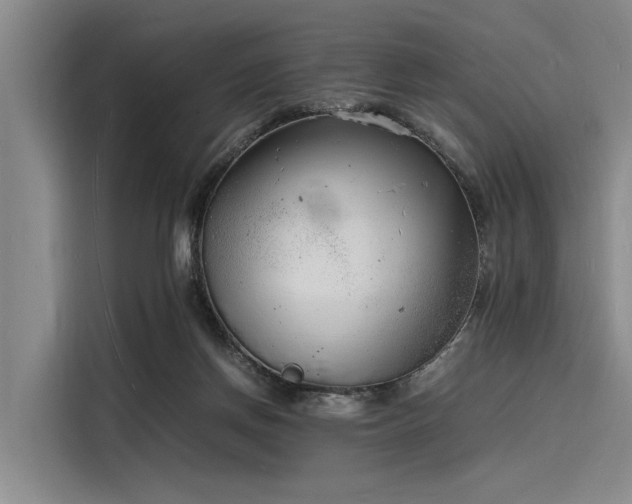 X0000116140166200911301528