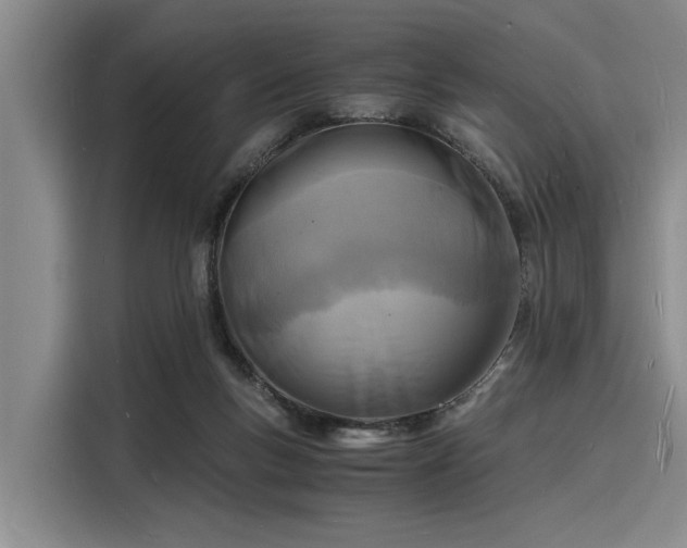 X0000116140167200911301528