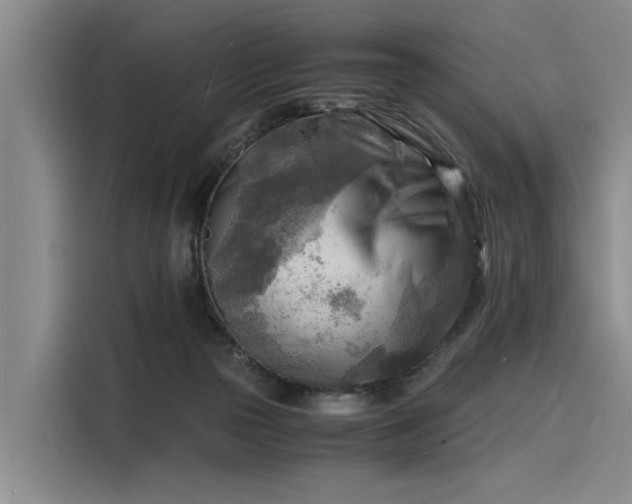 X0000116140169200911301528