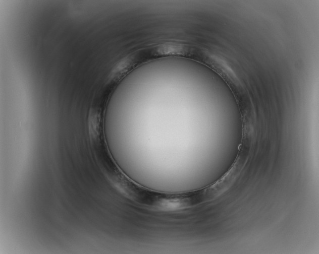 X0000116140171200911301528