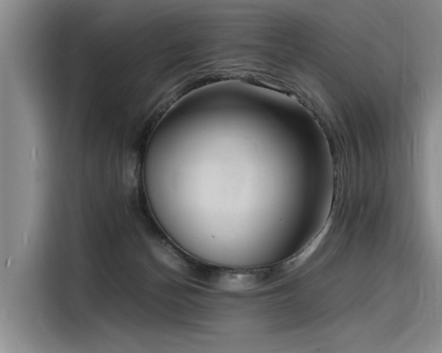 X0000116140174200911301528