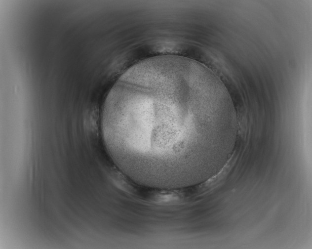 X0000116140175200911301528