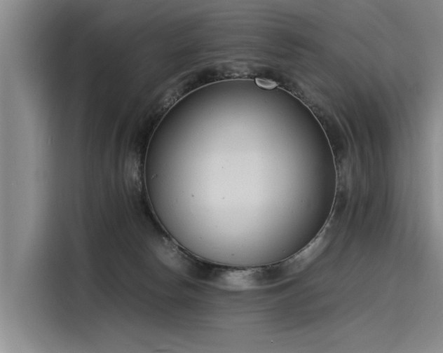 X0000116140178200911301528