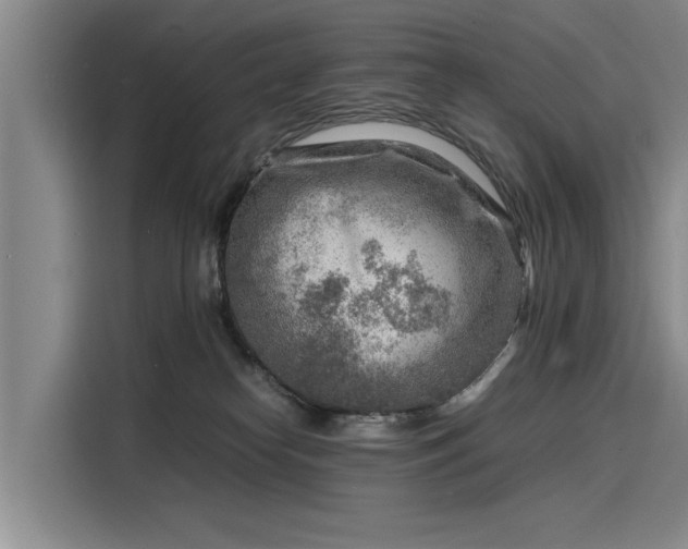 X0000116140182200911301528