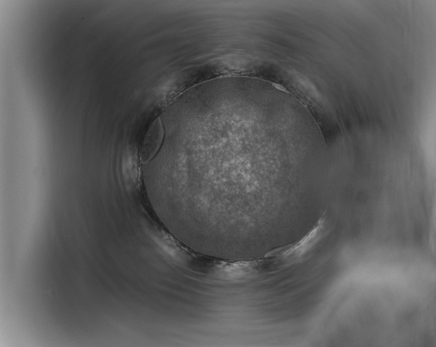 X0000116140186200911301528