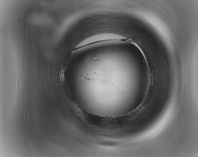 X0000116140190200911301528