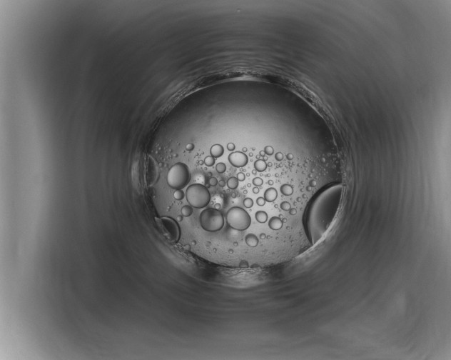 X0000116140191200911301528