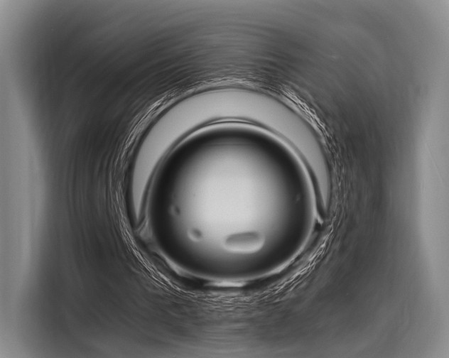 X0000116140193200911301527