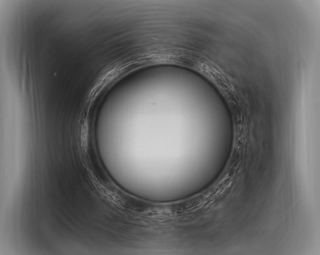 X0000116140194200911301527