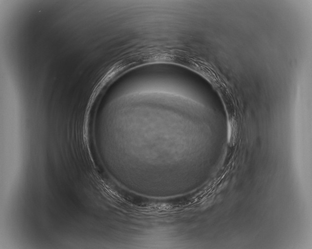 X0000116140195200911301527