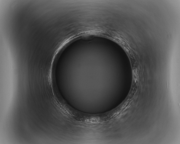 X0000116140196200911301527