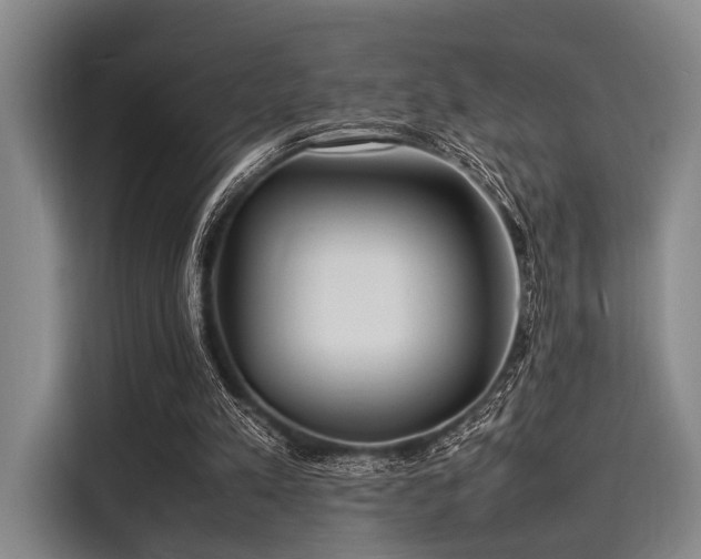 X0000116140197200911301527