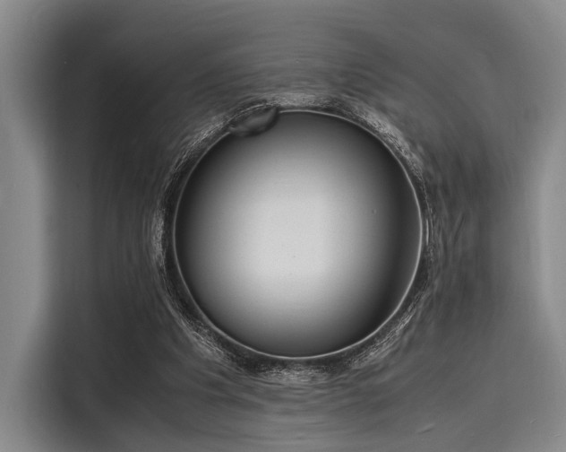 X0000116140201200911301527