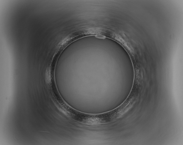 X0000116140203200911301527