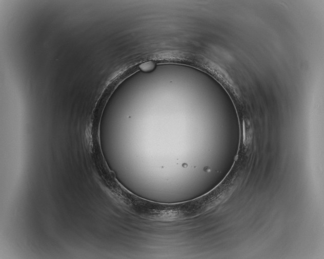 X0000116140204200911301527