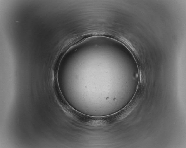 X0000116140205200911301527