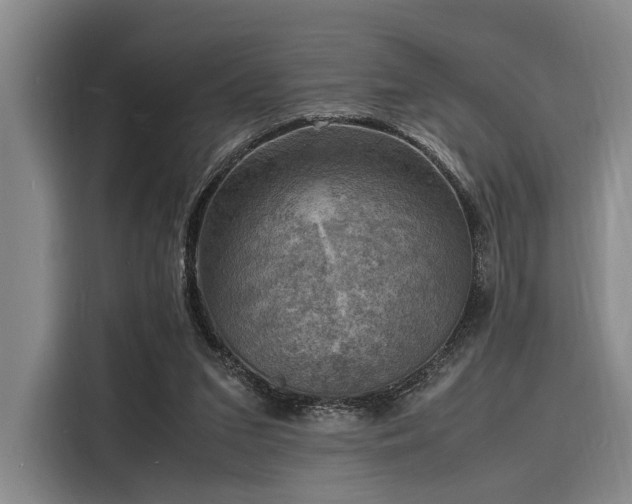 X0000116140207200911301527