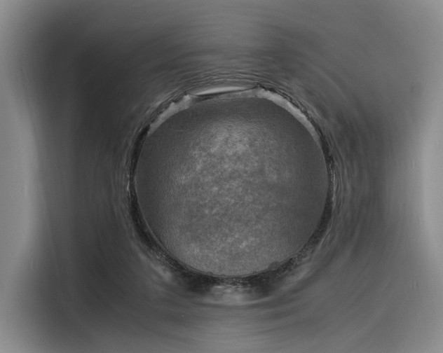 X0000116140211200911301527