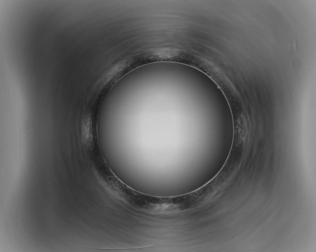 X0000116140212200911301527