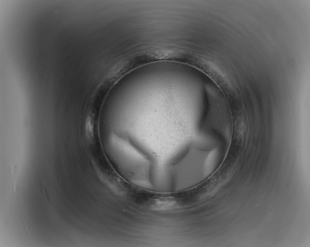 X0000116140214200911301527