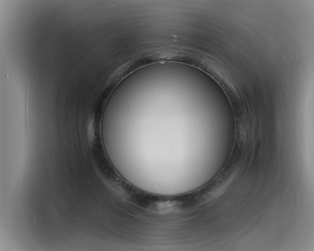 X0000116140216200911301527