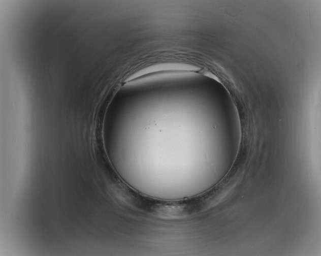 X0000116140217200911301527