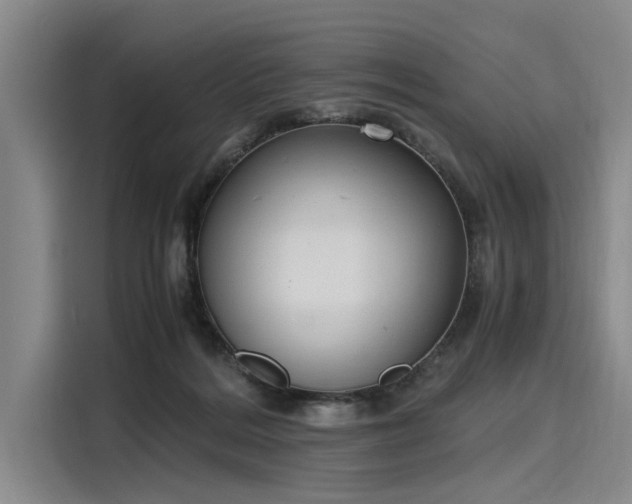 X0000116140220200911301527