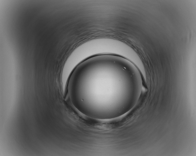 X0000116140221200911301527