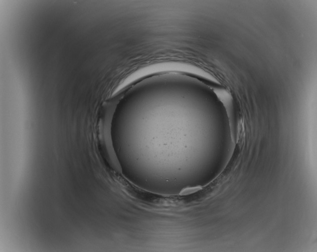 X0000116140223200911301527