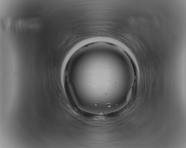 X0000116140227200911301527