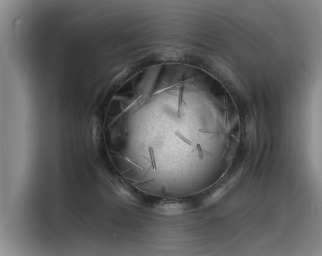 X0000116140228200911301527