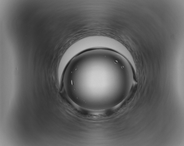 X0000116140229200911301527