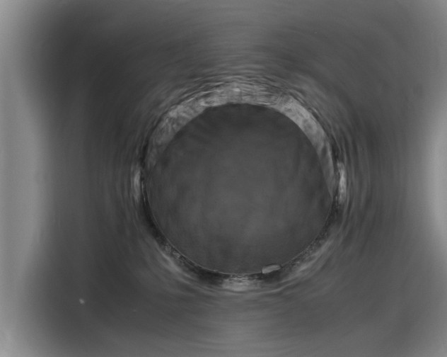 X0000116140231200911301527