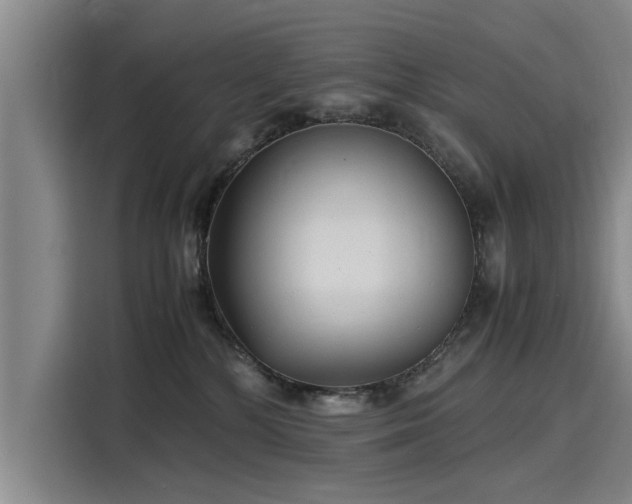 X0000116140232200911301527