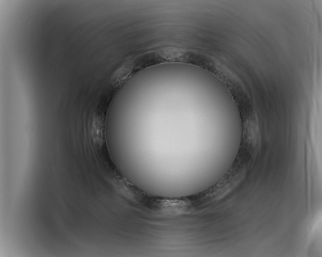 X0000116140234200911301527