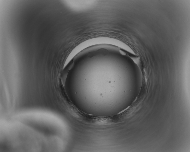 X0000116140235200911301527