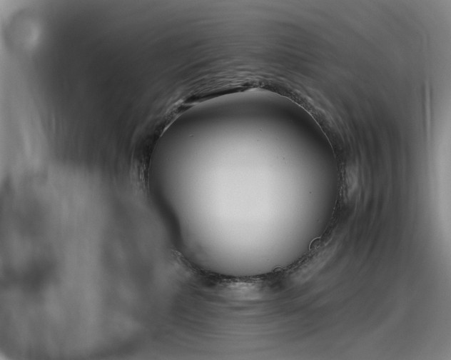 X0000116140236200911301527