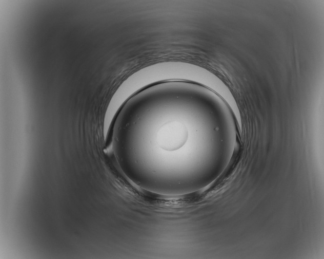 X0000116140237200911301527