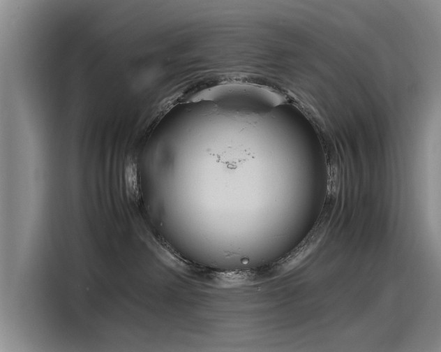 X0000116140238200911301527