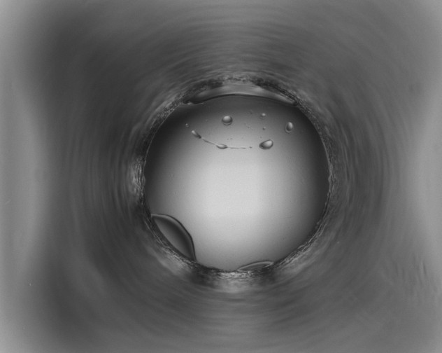 X0000116140240200911301527