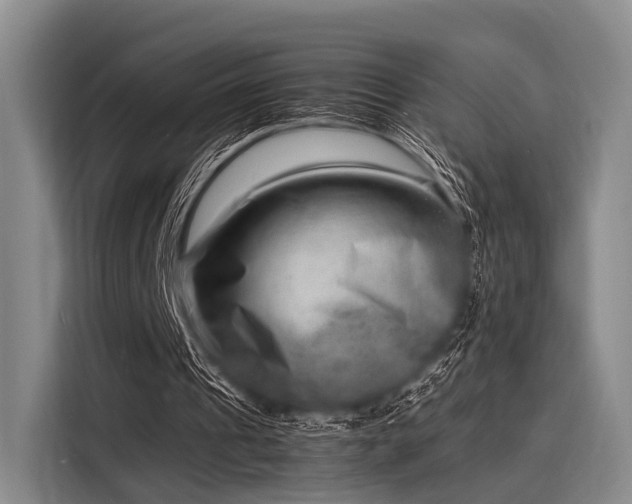X0000116140241200911301526