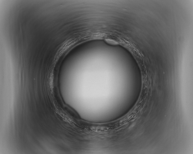 X0000116140242200911301526