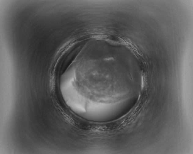 X0000116140243200911301526