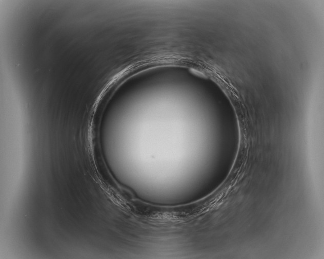 X0000116140244200911301526