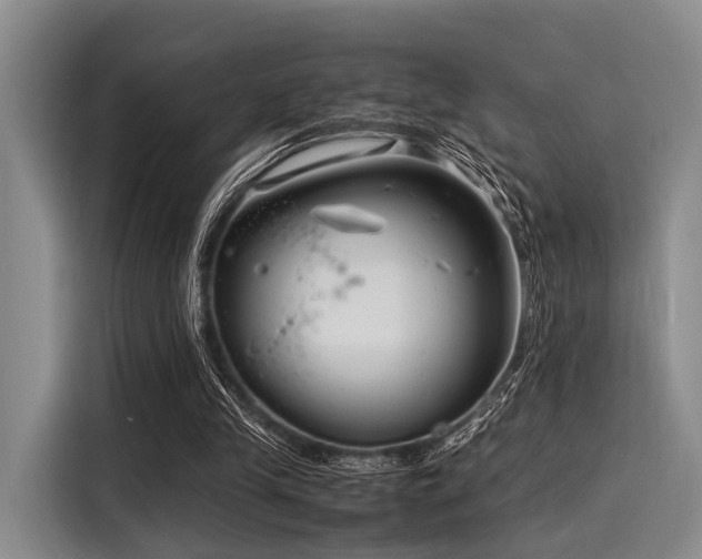 X0000116140245200911301526