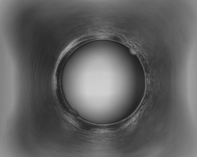 X0000116140246200911301526