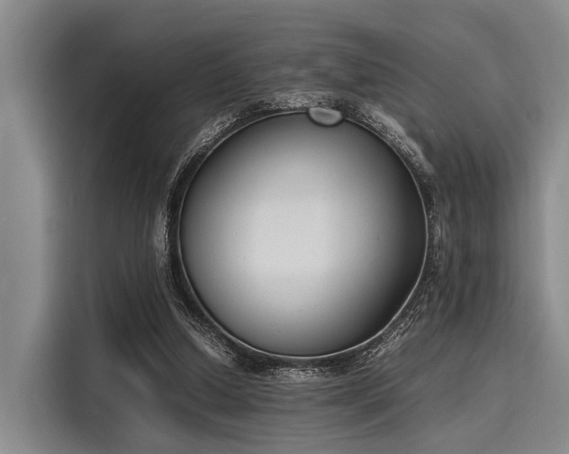 X0000116140250200911301526