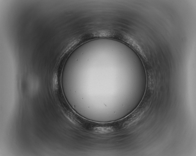 X0000116140251200911301526