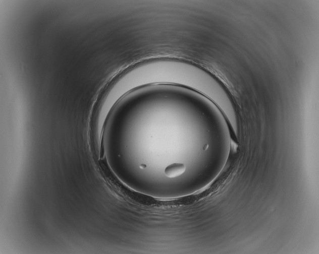 X0000116140252200911301526