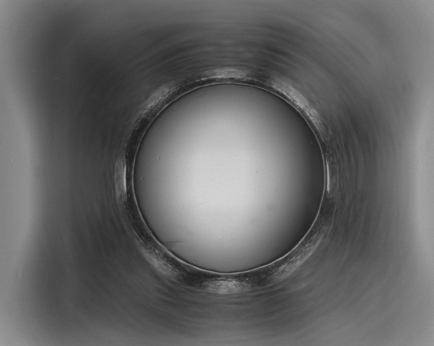 X0000116140253200911301526